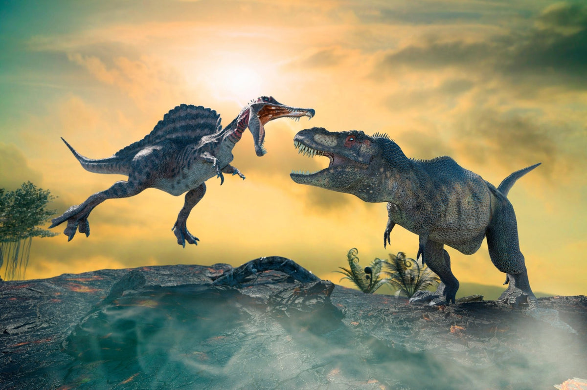 Dinosaur Battles: Who Would Win? - MaisonBattat