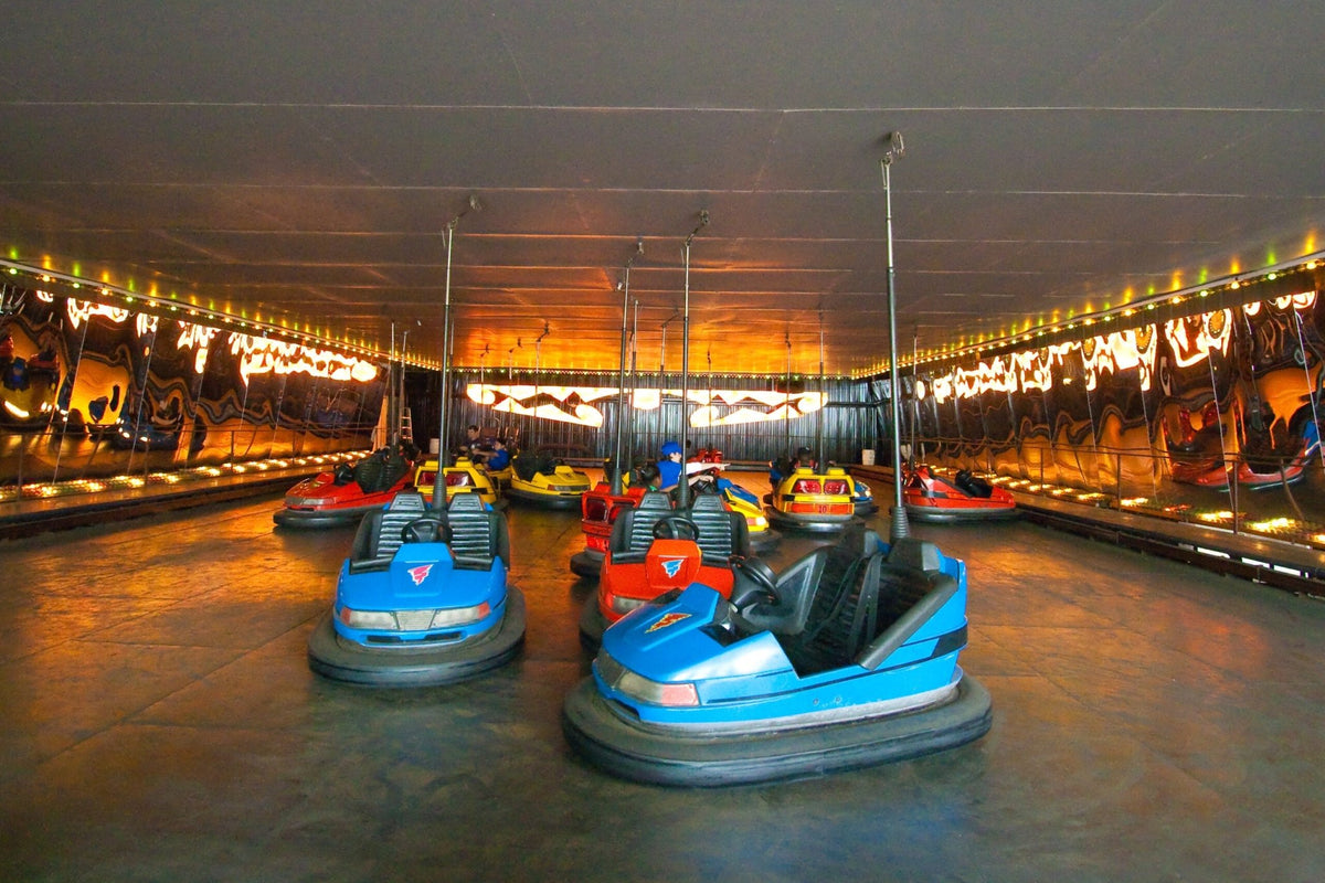 Get to know the Dinosaur Drivers in this year’s Bumper Car Derby - MaisonBattat