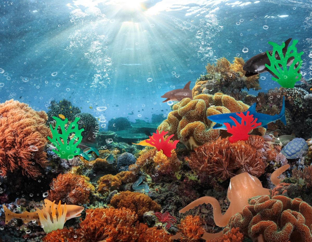 Let's Go on an Ocean Expedition - MaisonBattat