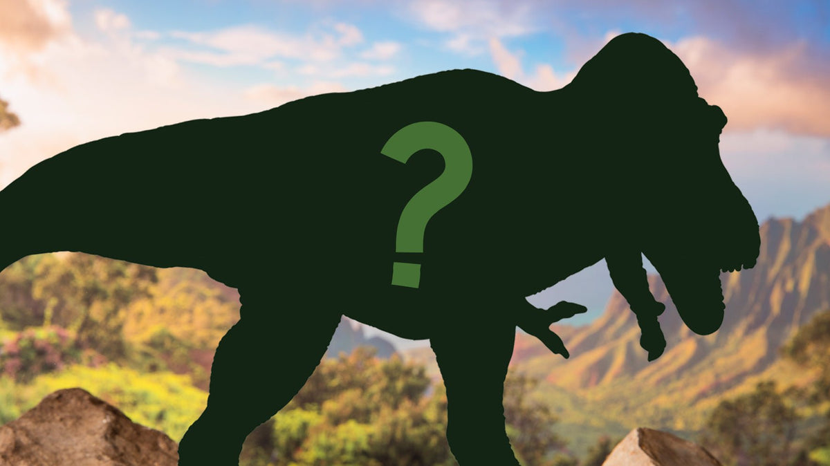 An Interview with a Dinosaur - MaisonBattat