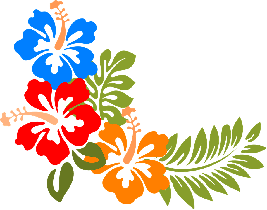 Summer Fun with Hawaiian Vocabulary! - MaisonBattat