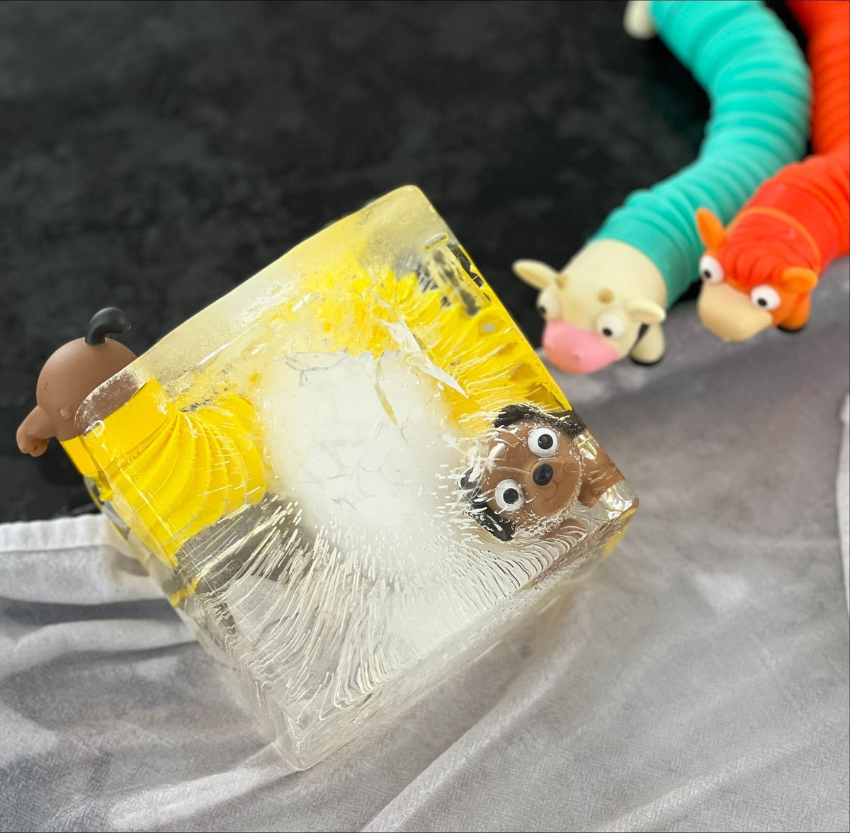 frozen block of ice with smiling plastic puppy toy frozen inside one of the great indoor winter activities for kids
