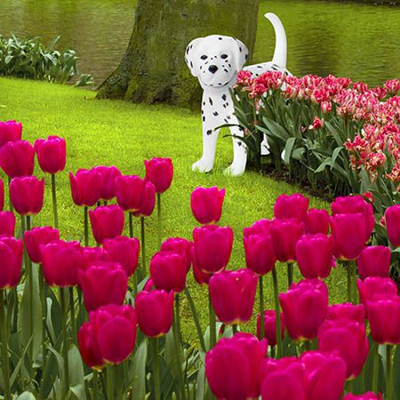 Mini toy Dalmatian with flowers.