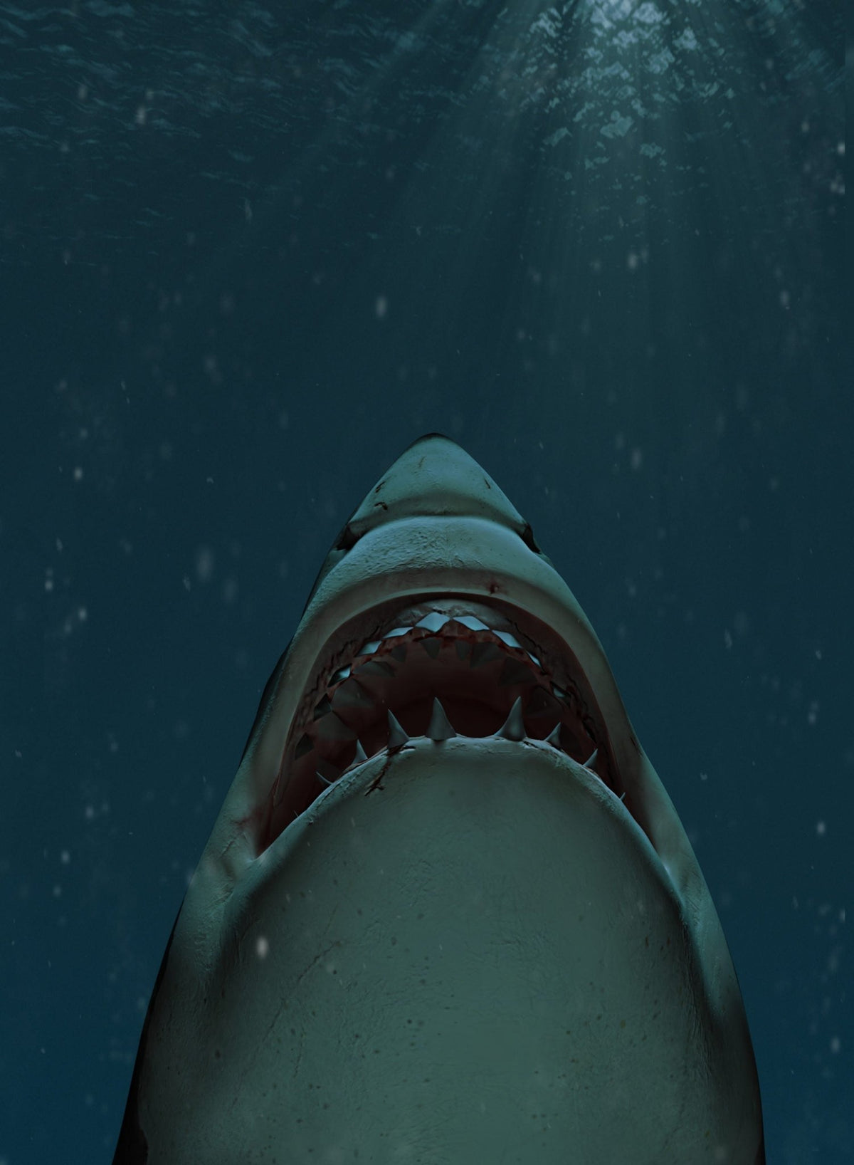 Great white shark swimming towards the surface with mouth open