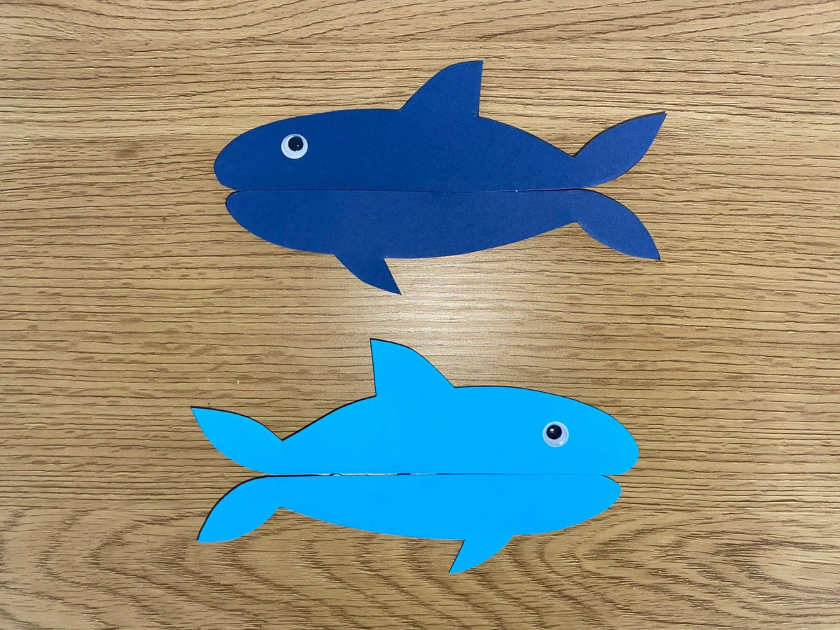 Shark Craft for Kids - Little Big Bites - MaisonBattat