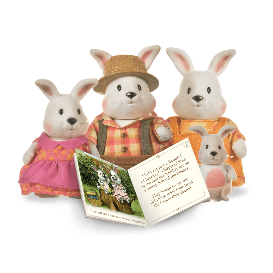 Miniature rabbit figurine set with storybook