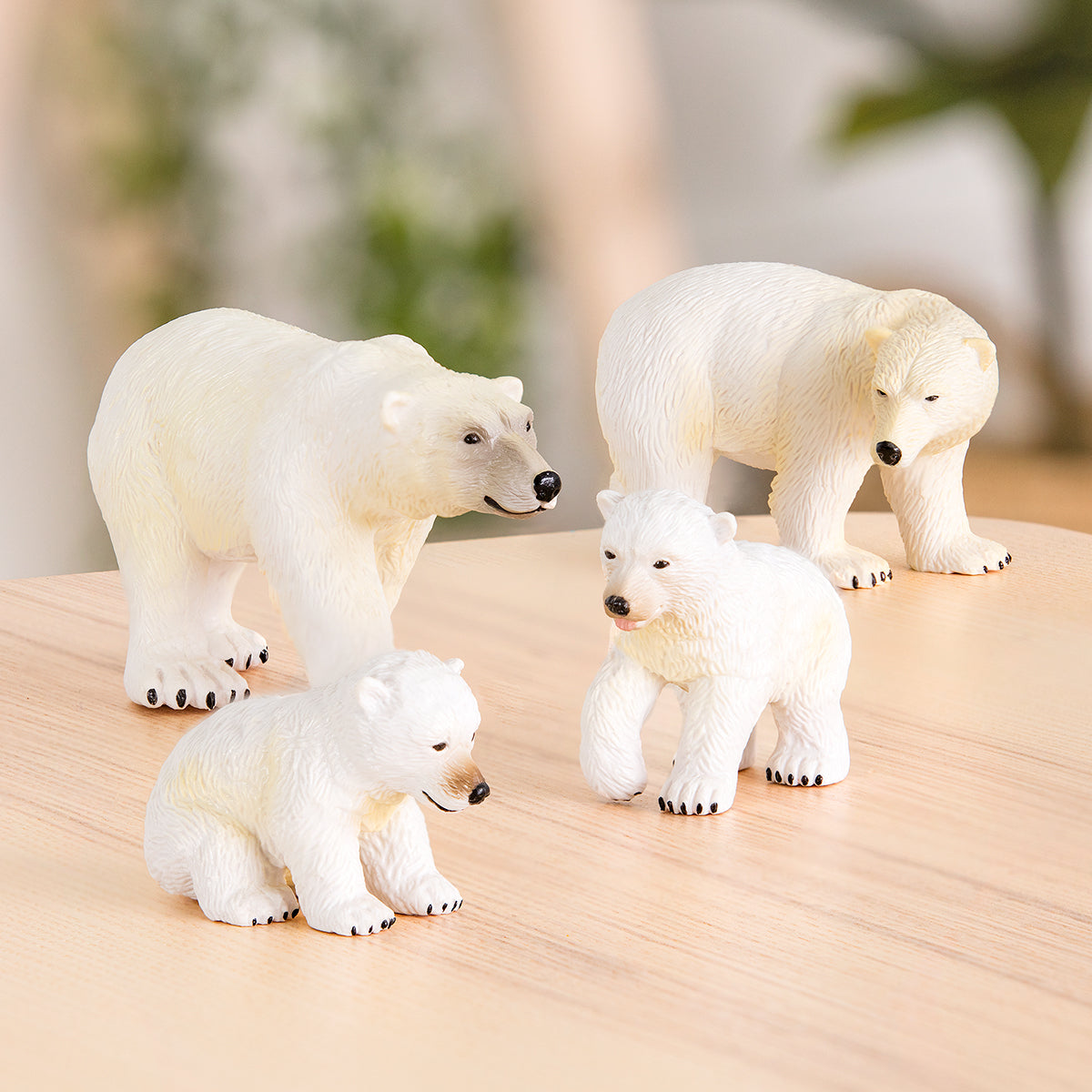 white bears
