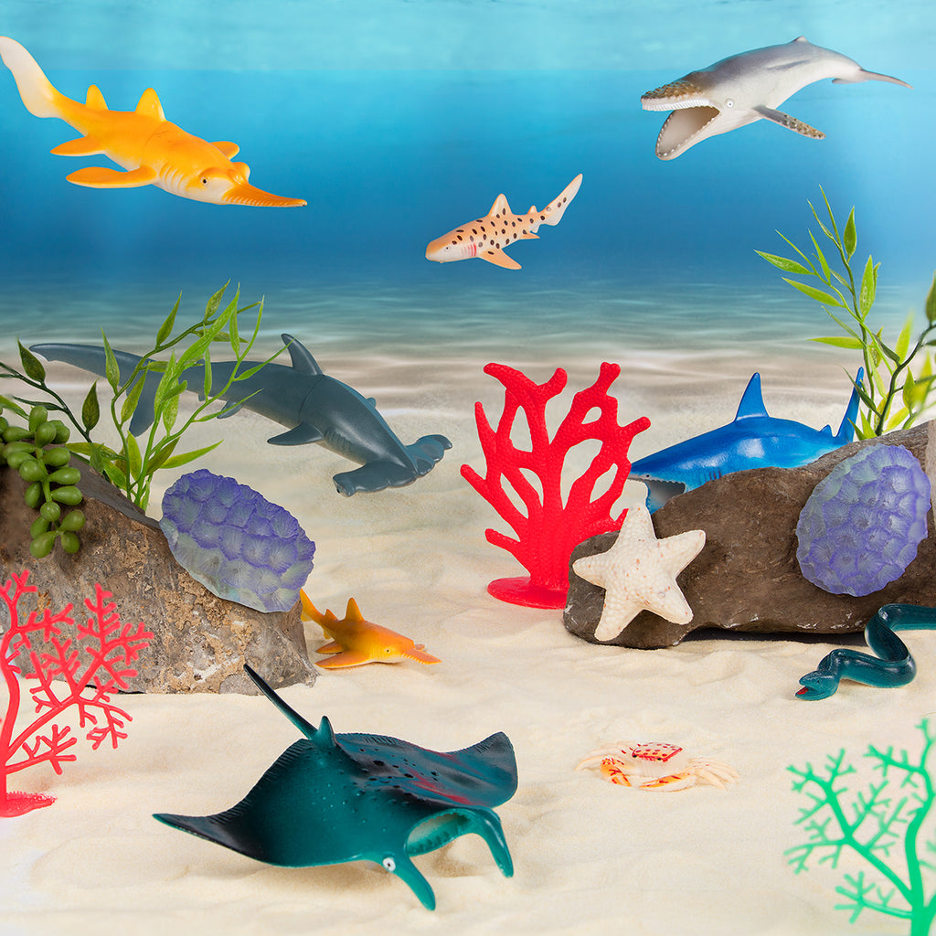 marine animals