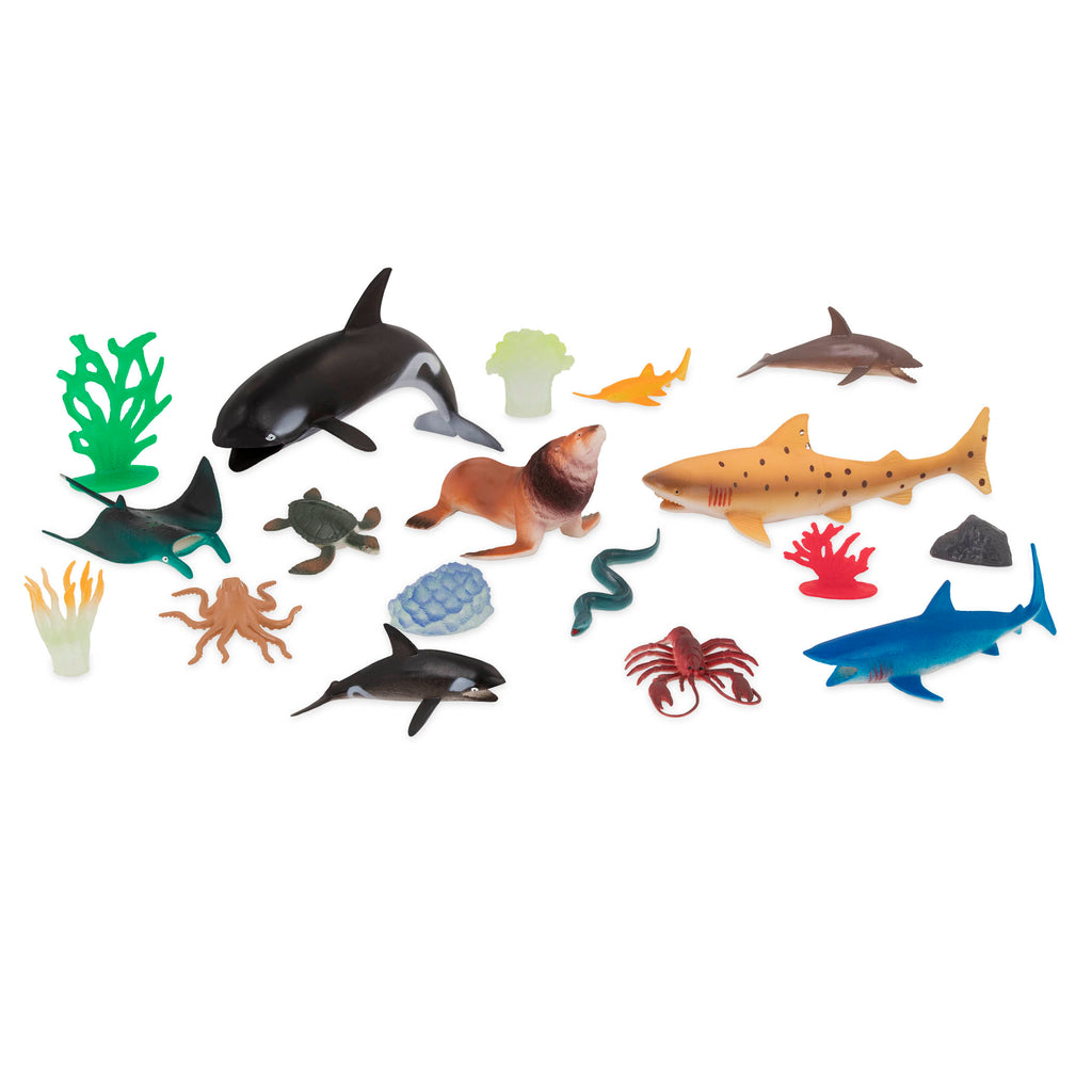 marine animals