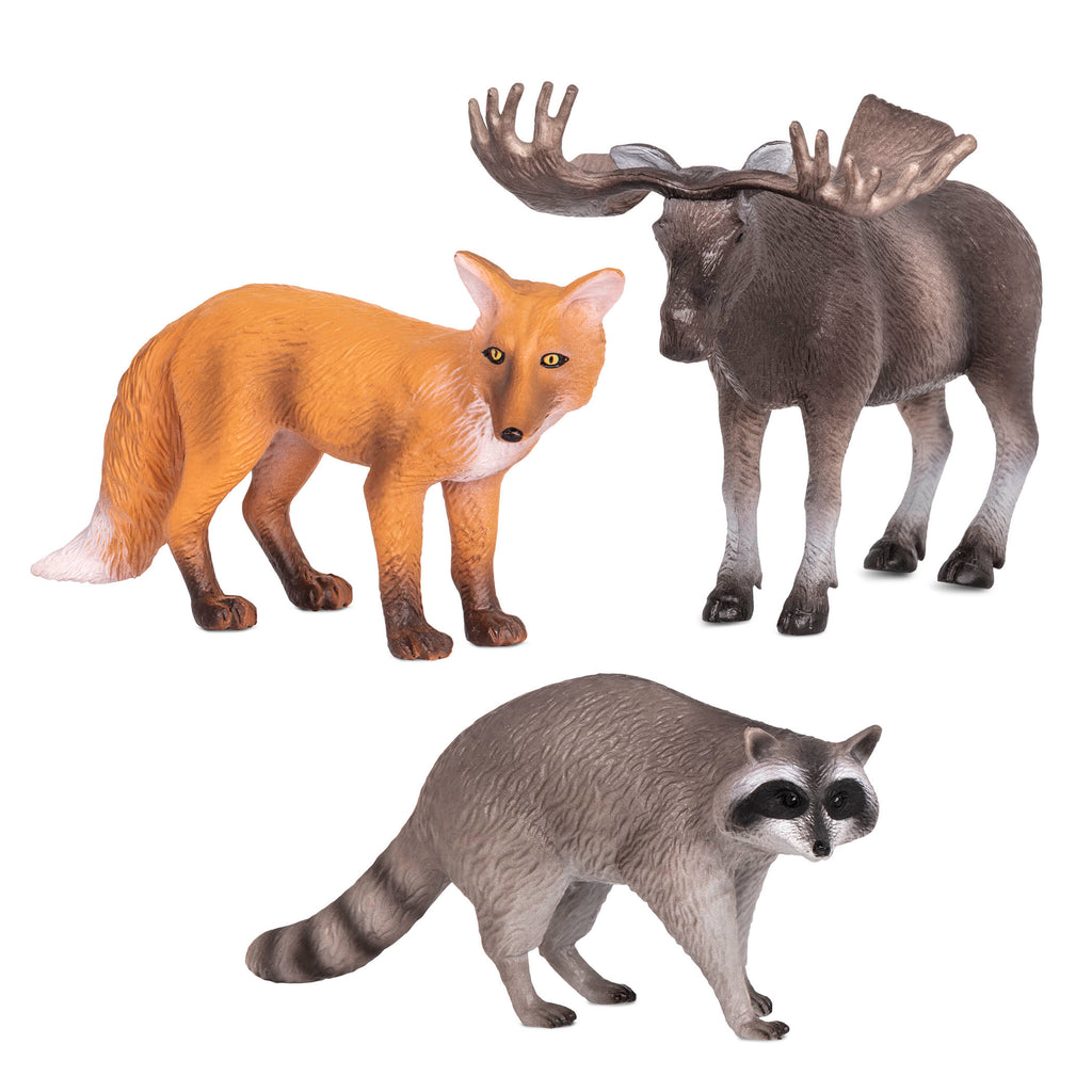 forest animals