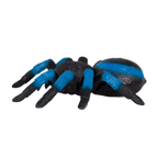 Remote control blue spider electronic tarantula animal toy