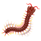 Remote control giant centipede toy