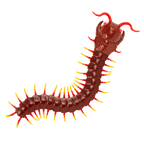 Remote control giant centipede toy