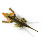 RC Dinosaur: Dilophosaurus - Terra by Battat