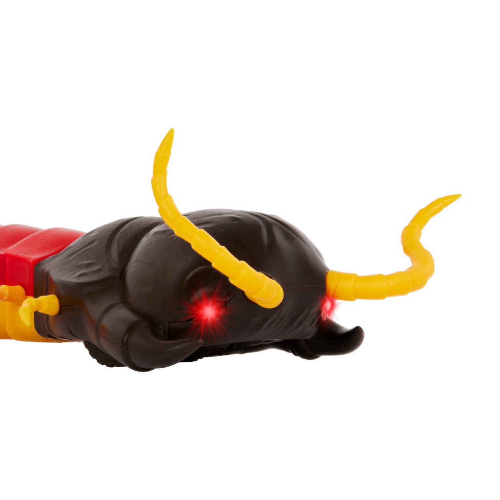 RC centipede remote control bug insect toy for kids