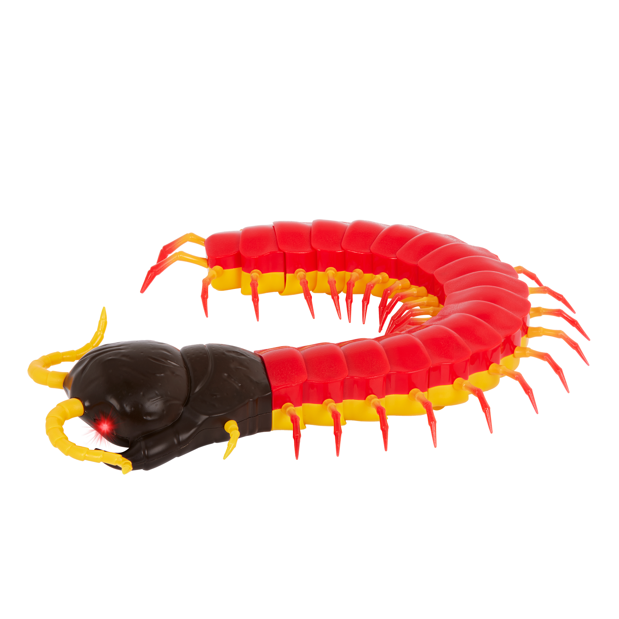 RC centipede remote control bug insect toy for kids