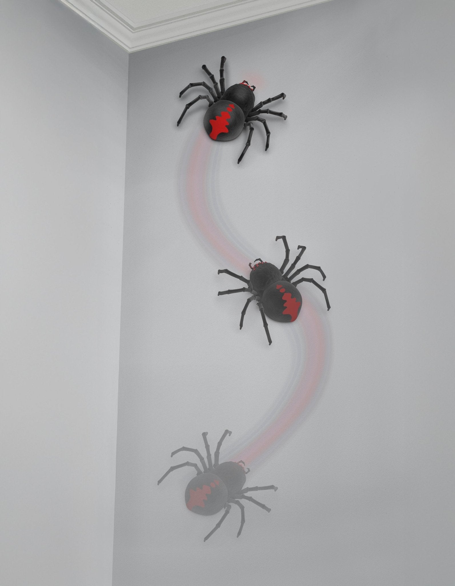 RC Spider: Black Widow - Terra