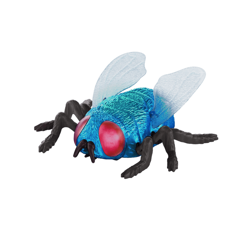 RC Fly: Blue Bottle Fly - Terra