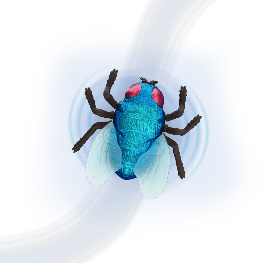 RC Fly: Blue Bottle Fly - Terra