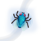 RC Fly: Blue Bottle Fly - Terra