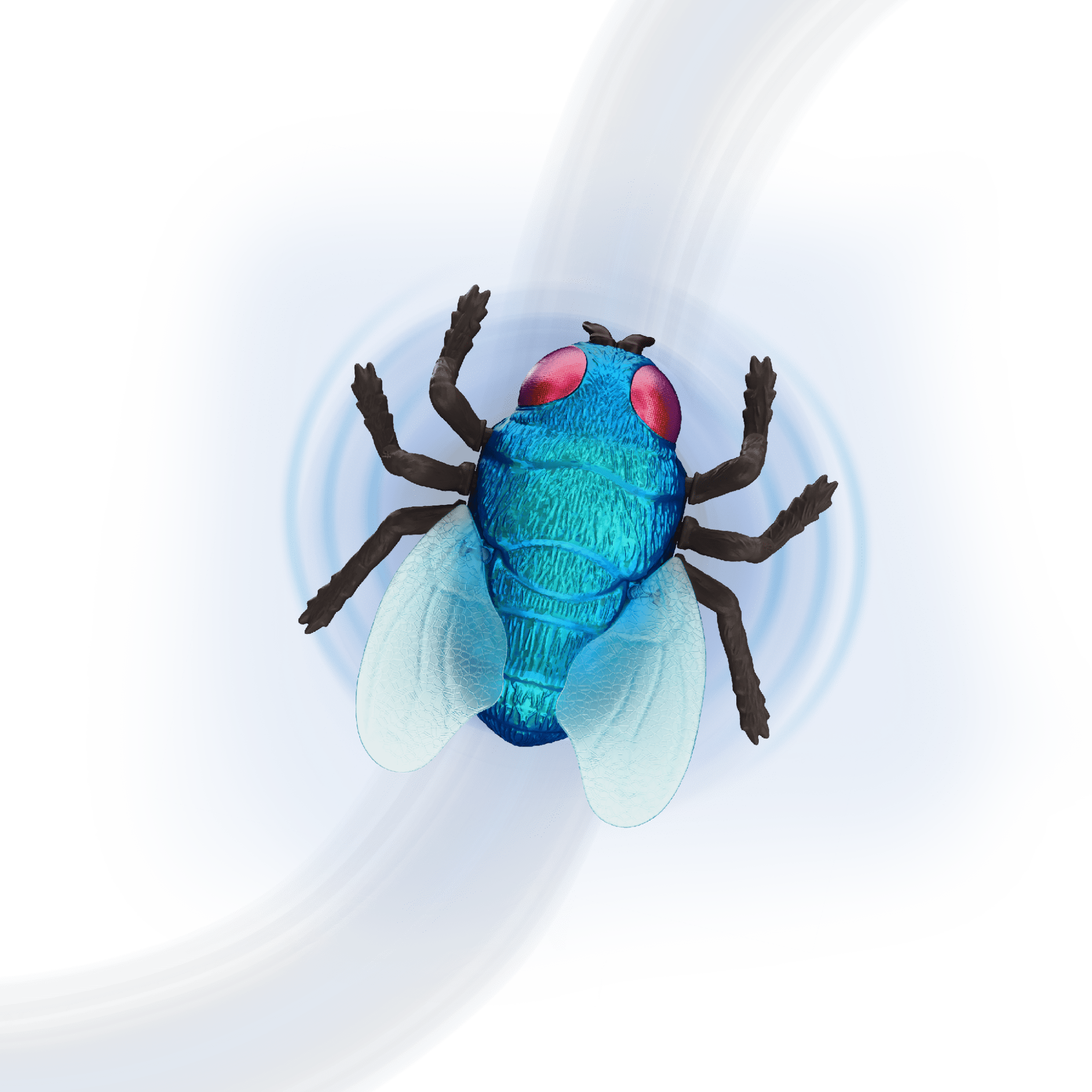 RC Fly: Blue Bottle Fly - Terra