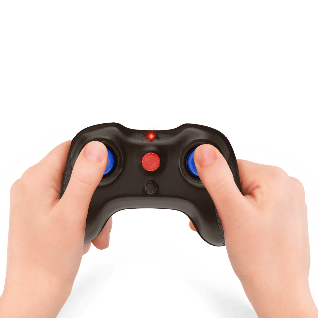 RC Fly: Blue Bottle Fly - Terra