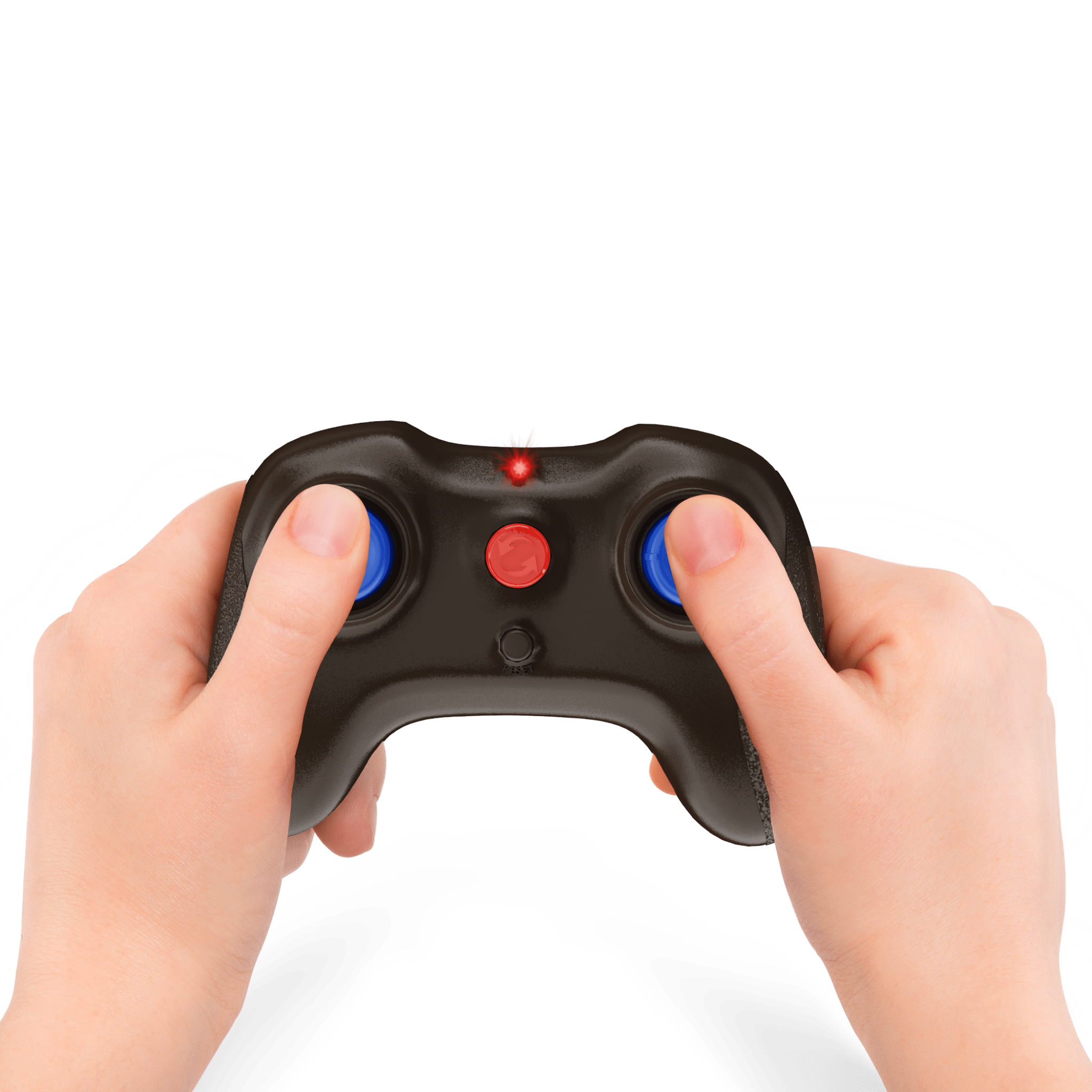 RC Fly: Blue Bottle Fly - Terra