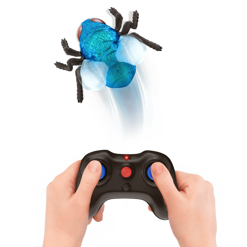 RC Fly: Blue Bottle Fly - Terra