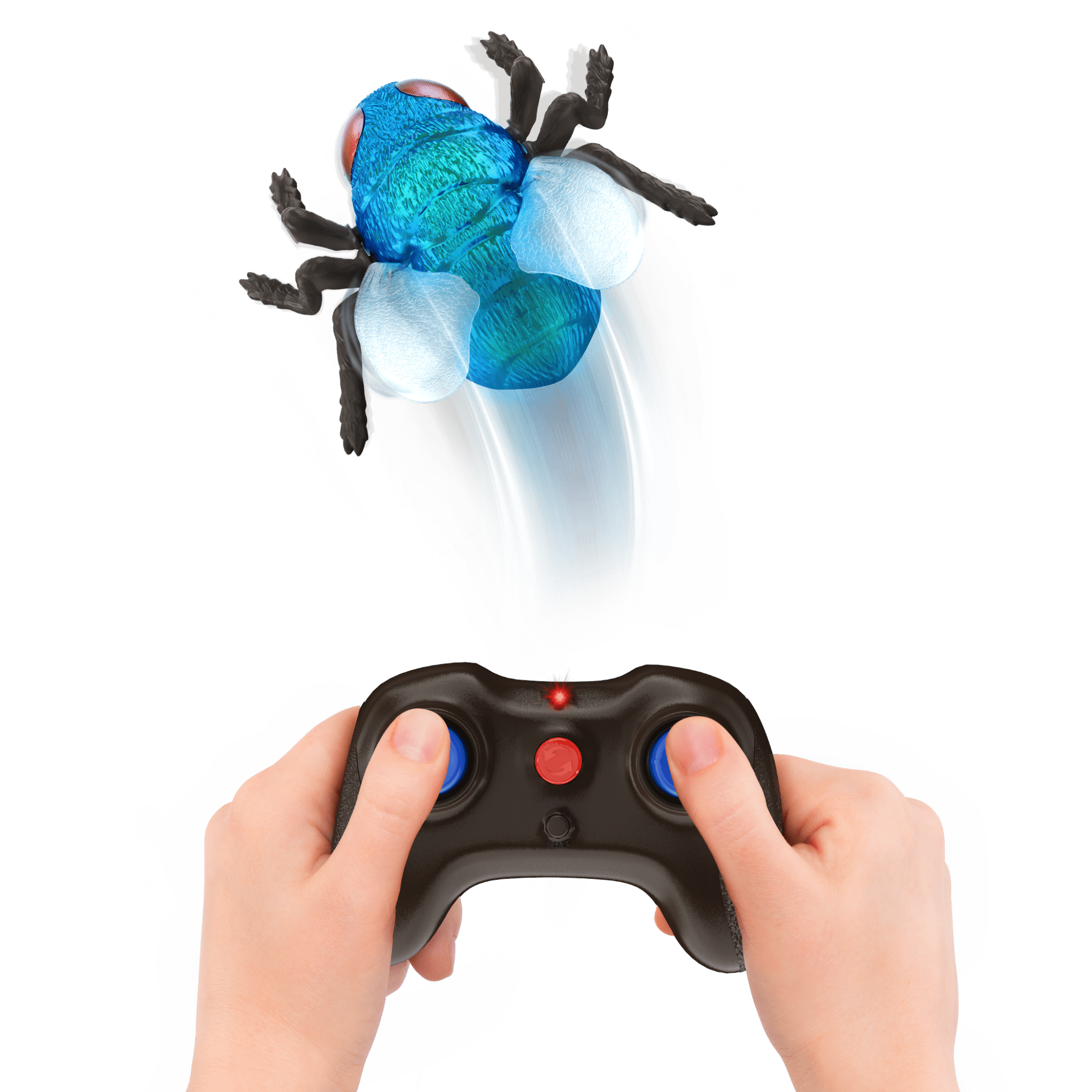 RC Fly: Blue Bottle Fly - Terra