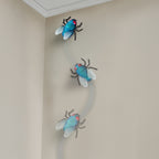 RC Fly: Blue Bottle Fly - Terra