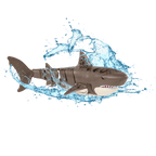 RC Swimming Leopard Shark - Terra by Battat
