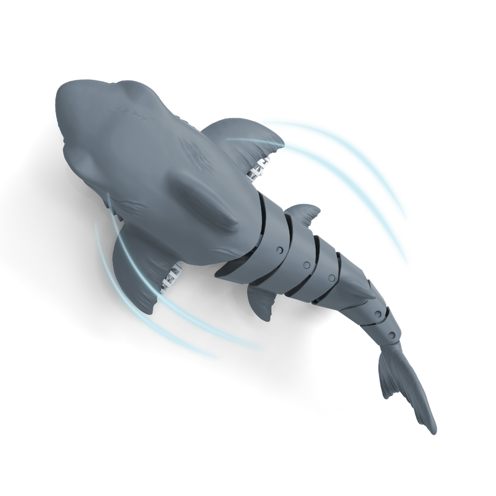 RC Swimming Megalodon Shark