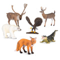 north american animals
