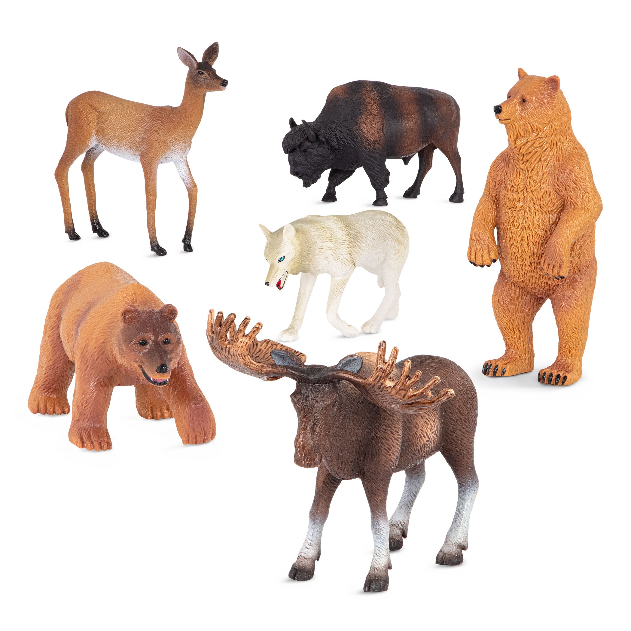 forest animals