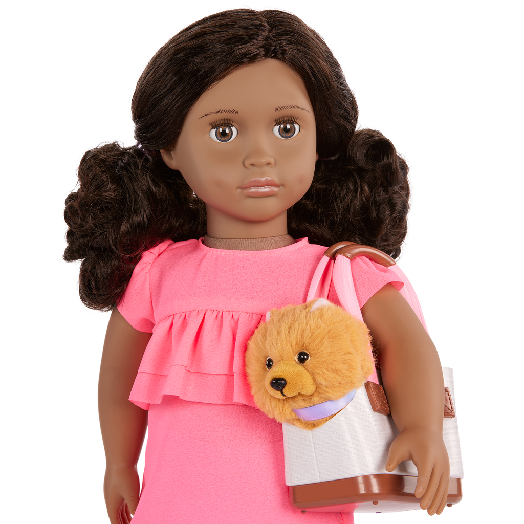 Our Generation 18-inch Doll Ayanna and her pet dog Goldie and dog accessories