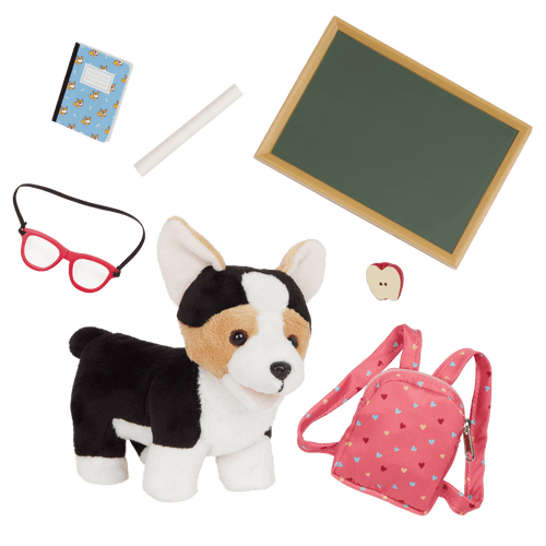 Preschool Pup | 6