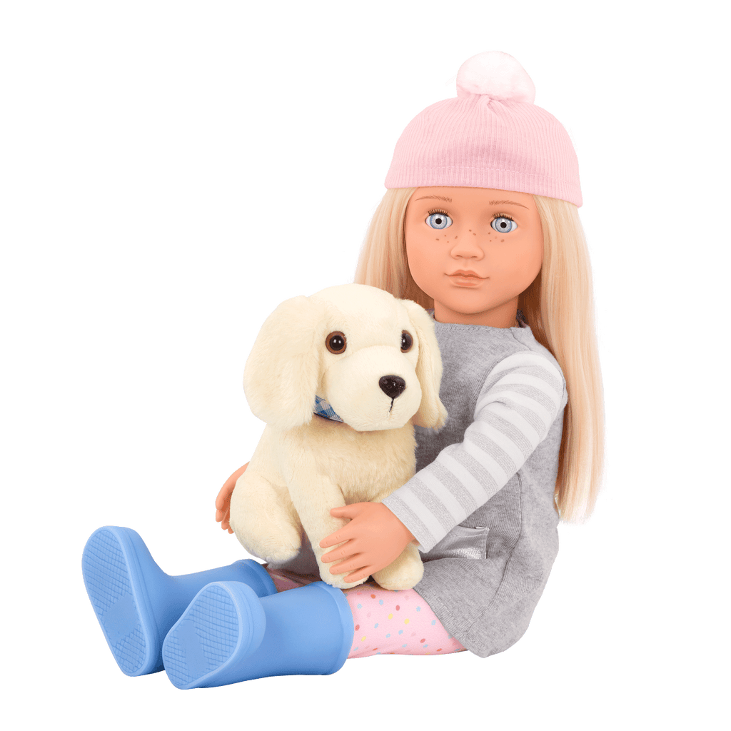 Our Generation Doll Meagan & Passenger Pets Bundle
