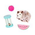 Our Generation Pet Hedgehog Set for 18-inch Dolls
