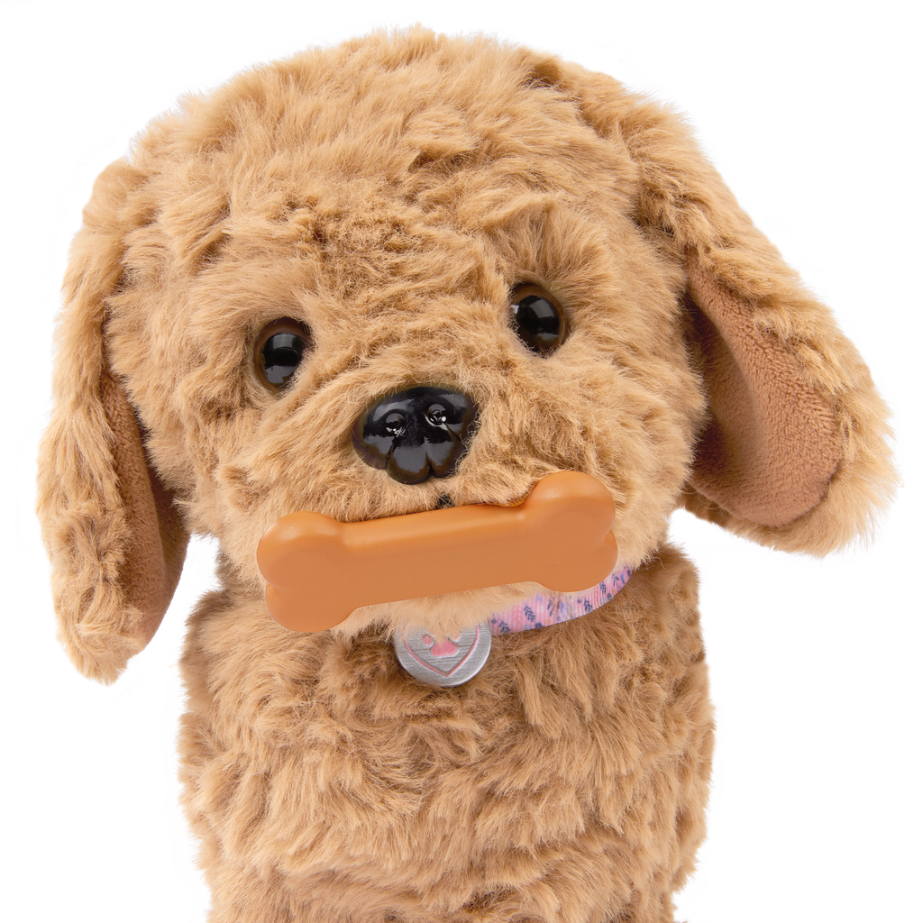 Playful Paws Goldendoodle Pup