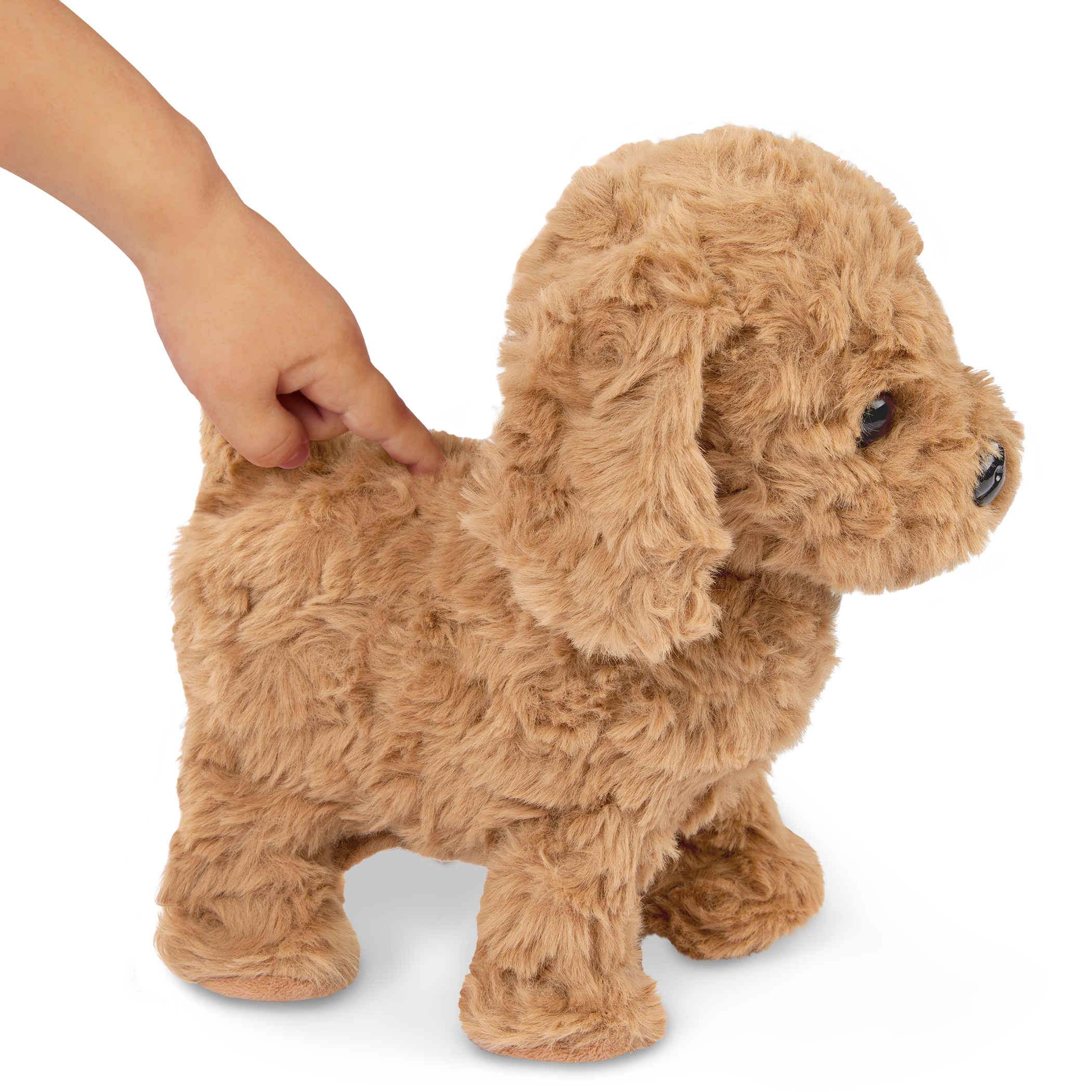 Playful Paws Goldendoodle Pup