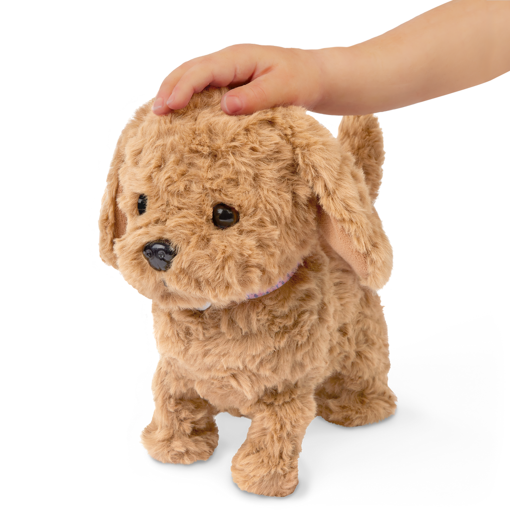 Playful Paws Goldendoodle Pup