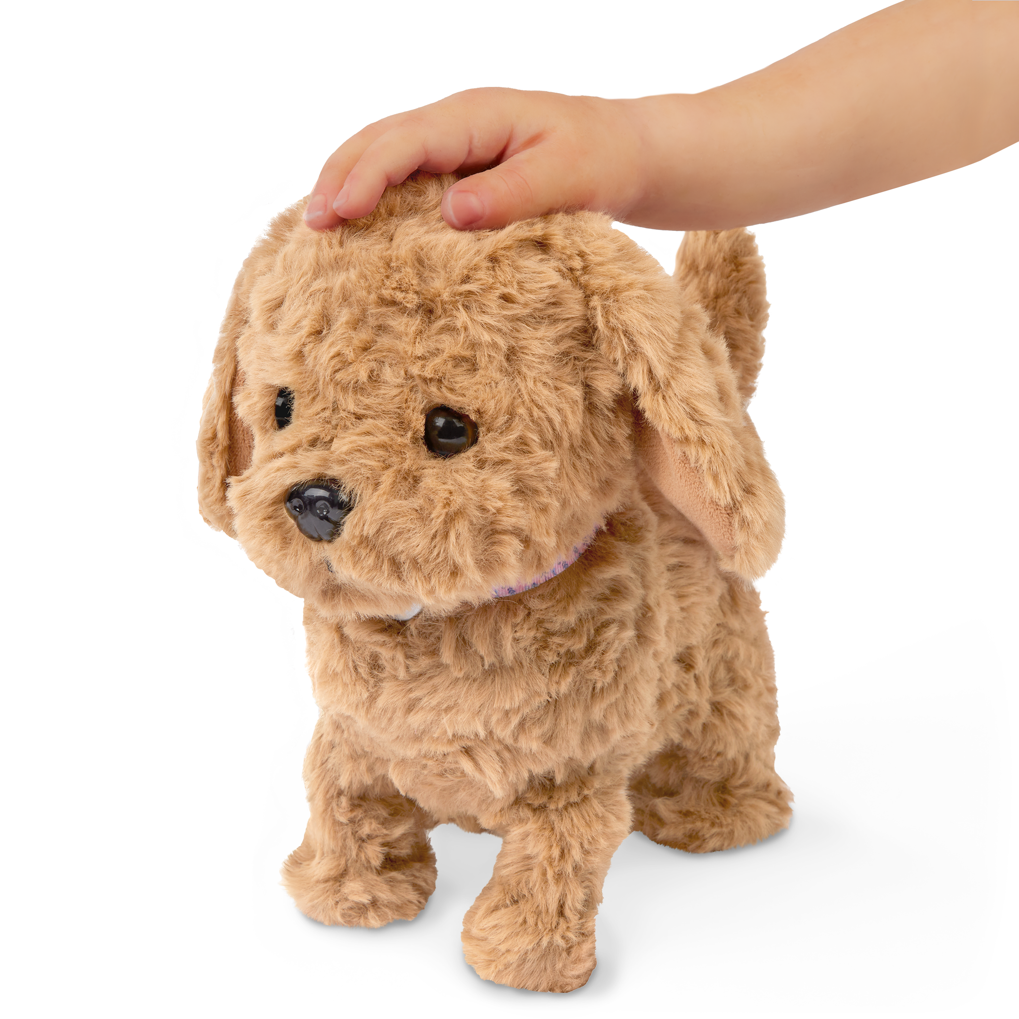 Playful Paws Goldendoodle Pup