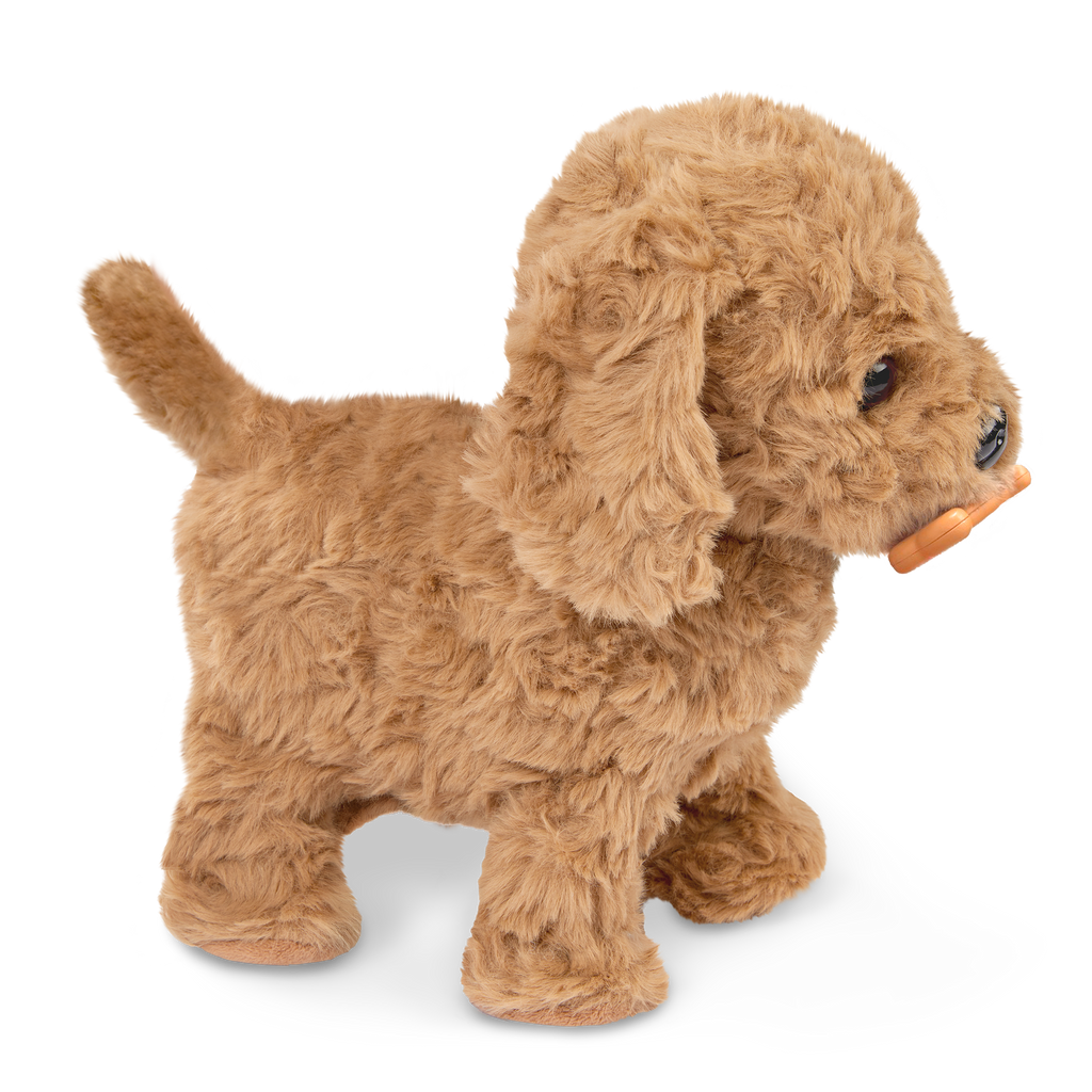 Playful Paws Goldendoodle Pup