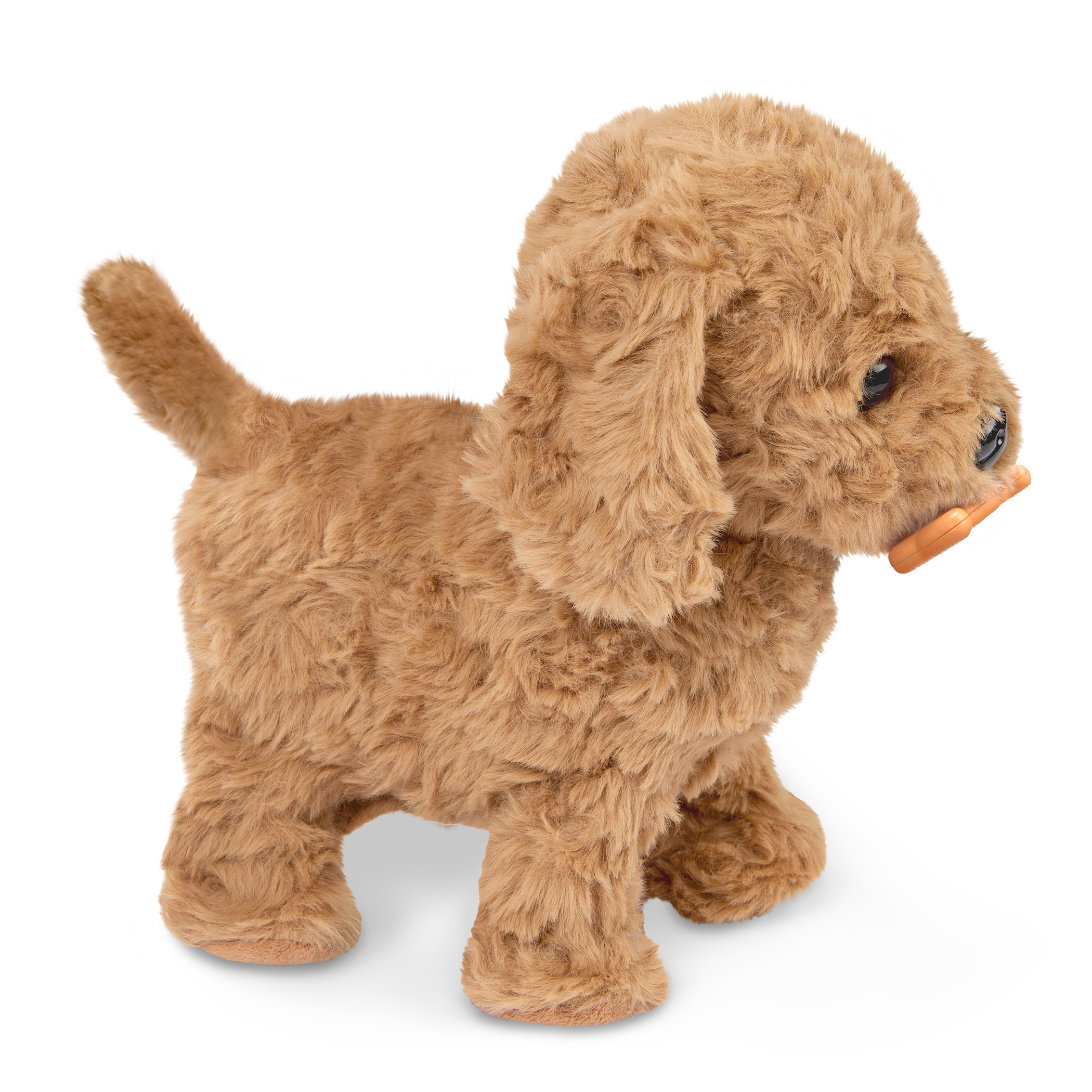 Playful Paws Goldendoodle Pup