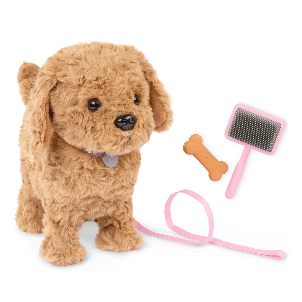 Playful Paws Goldendoodle Pup