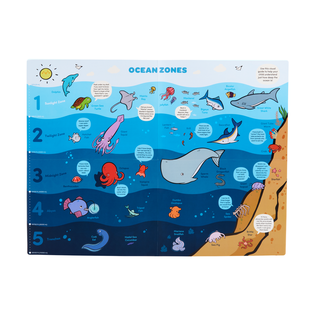 Ocean playset with color-changing book, fact cards, water pen, and a booklet.
