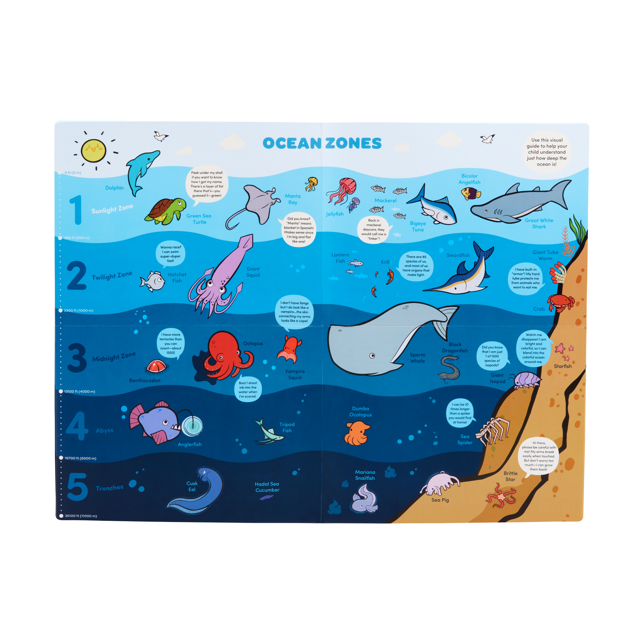 Ocean playset with color-changing book, fact cards, water pen, and a booklet.