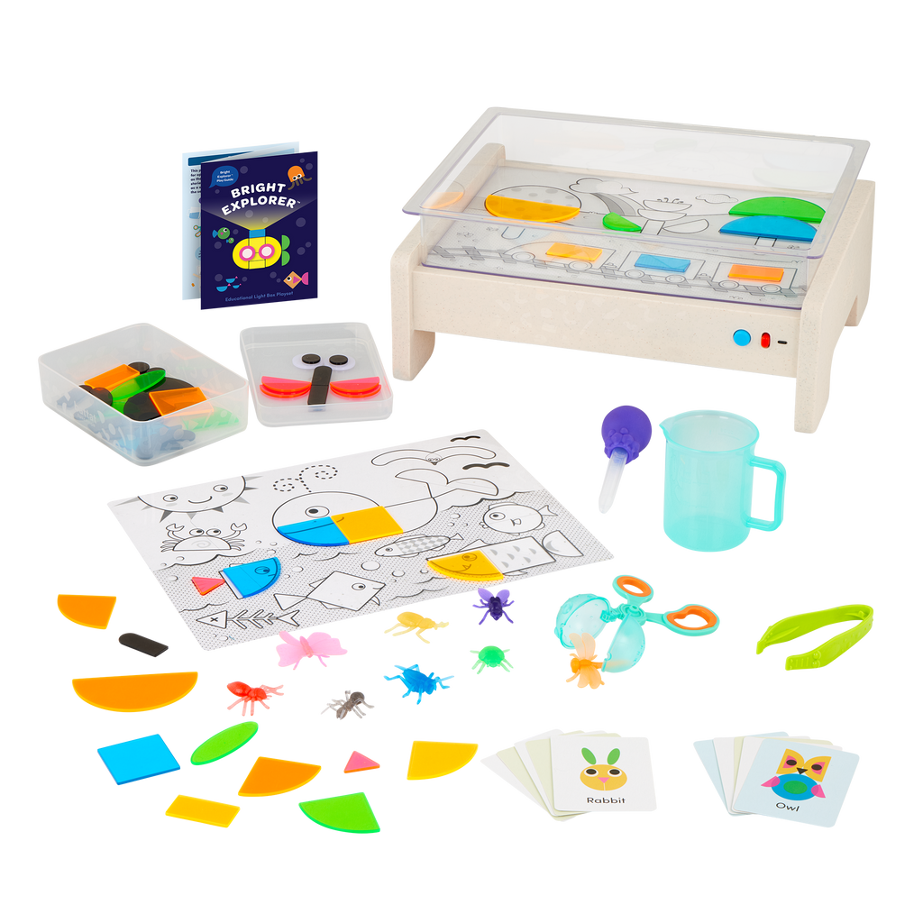 Light box playset with transculent shapes and bugs, tools, and a booklet.
