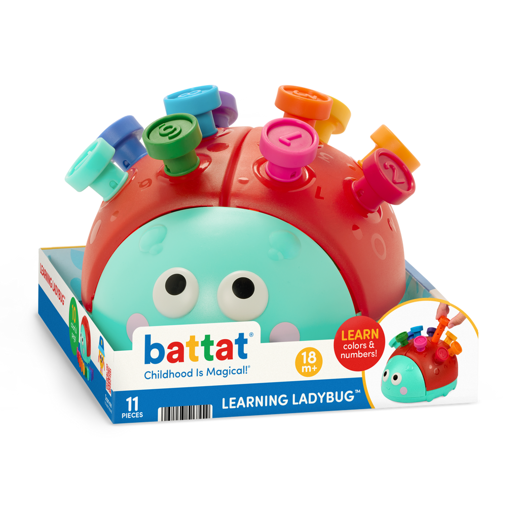 Assembled Learning Ladybug with numbered sticks inserted