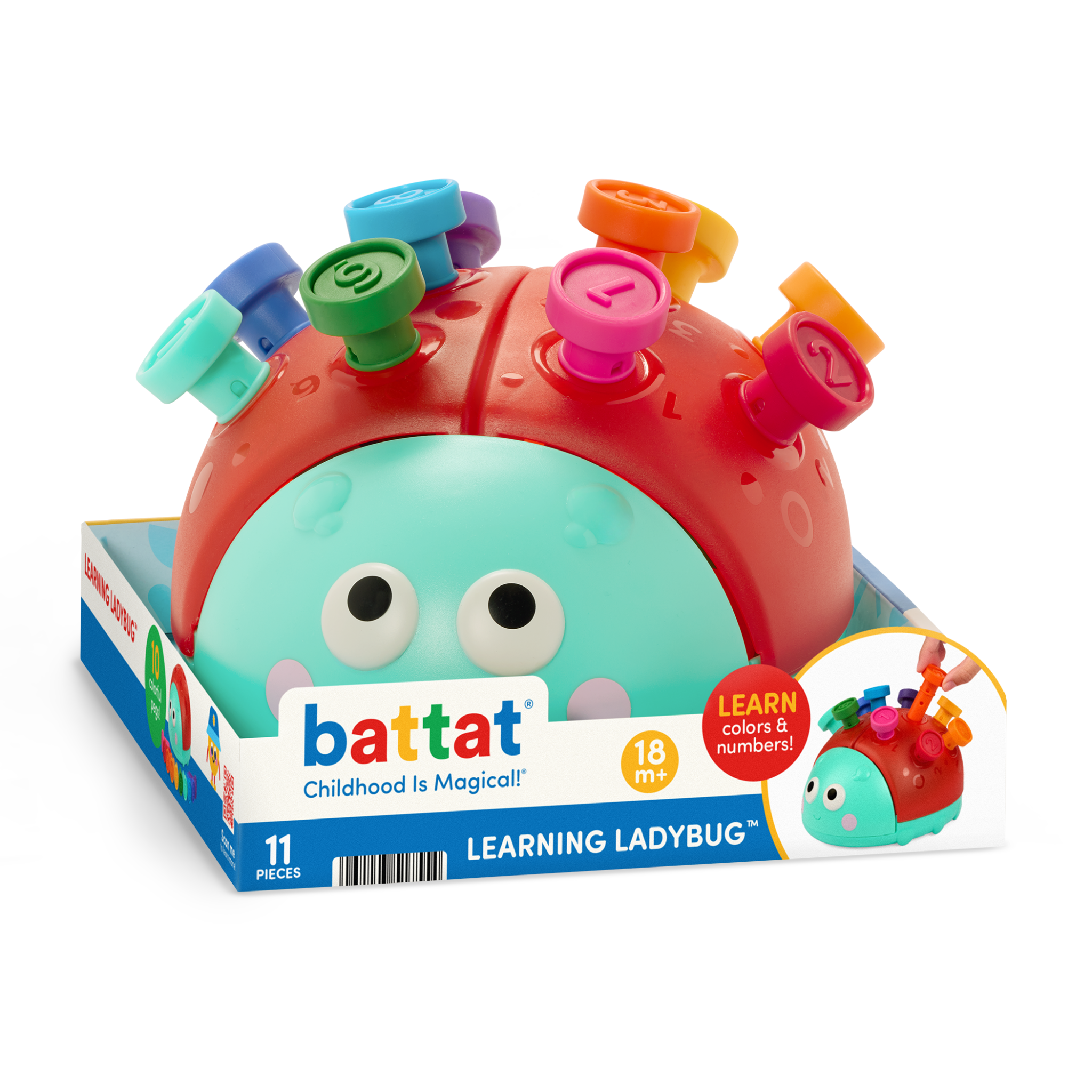 Assembled Learning Ladybug with numbered sticks inserted